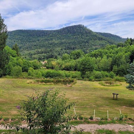 Gite Forestier Du Moulin Raon-sur-Plaine Exterior photo