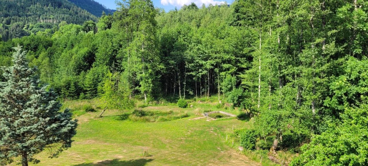 Gite Forestier Du Moulin Raon-sur-Plaine Exterior photo