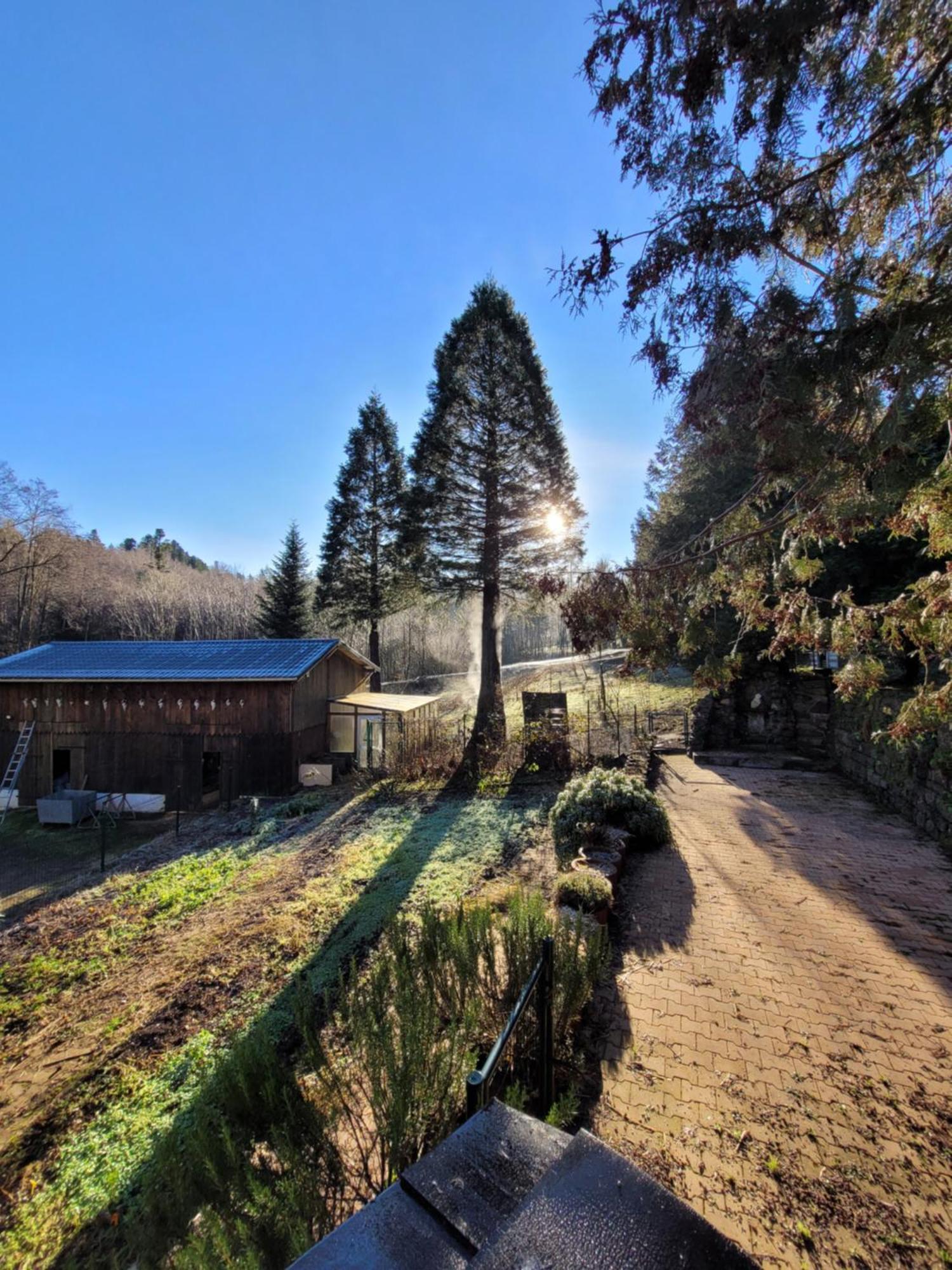 Gite Forestier Du Moulin Raon-sur-Plaine Exterior photo