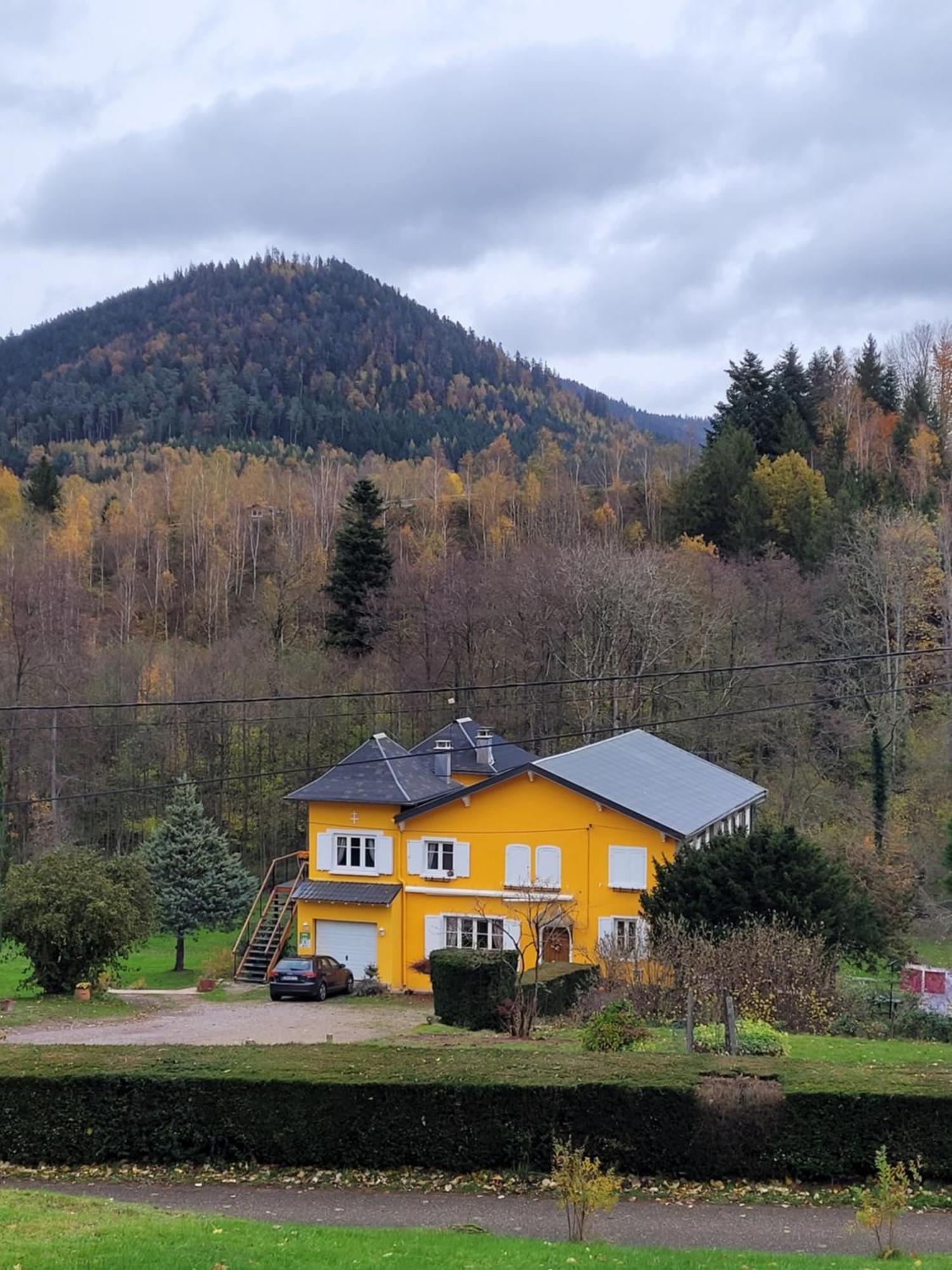 Gite Forestier Du Moulin Raon-sur-Plaine Exterior photo