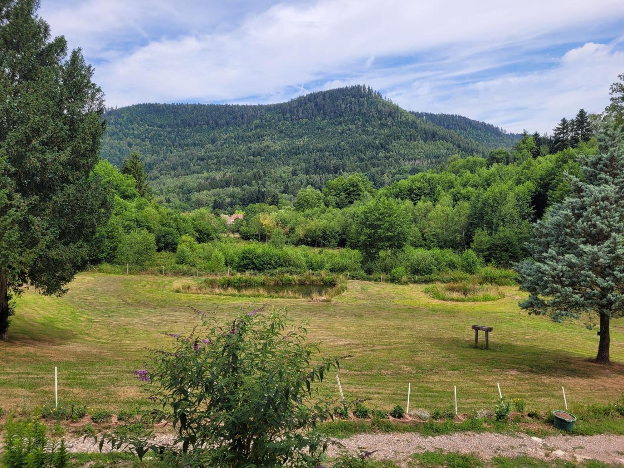 Gite Forestier Du Moulin Raon-sur-Plaine Exterior photo