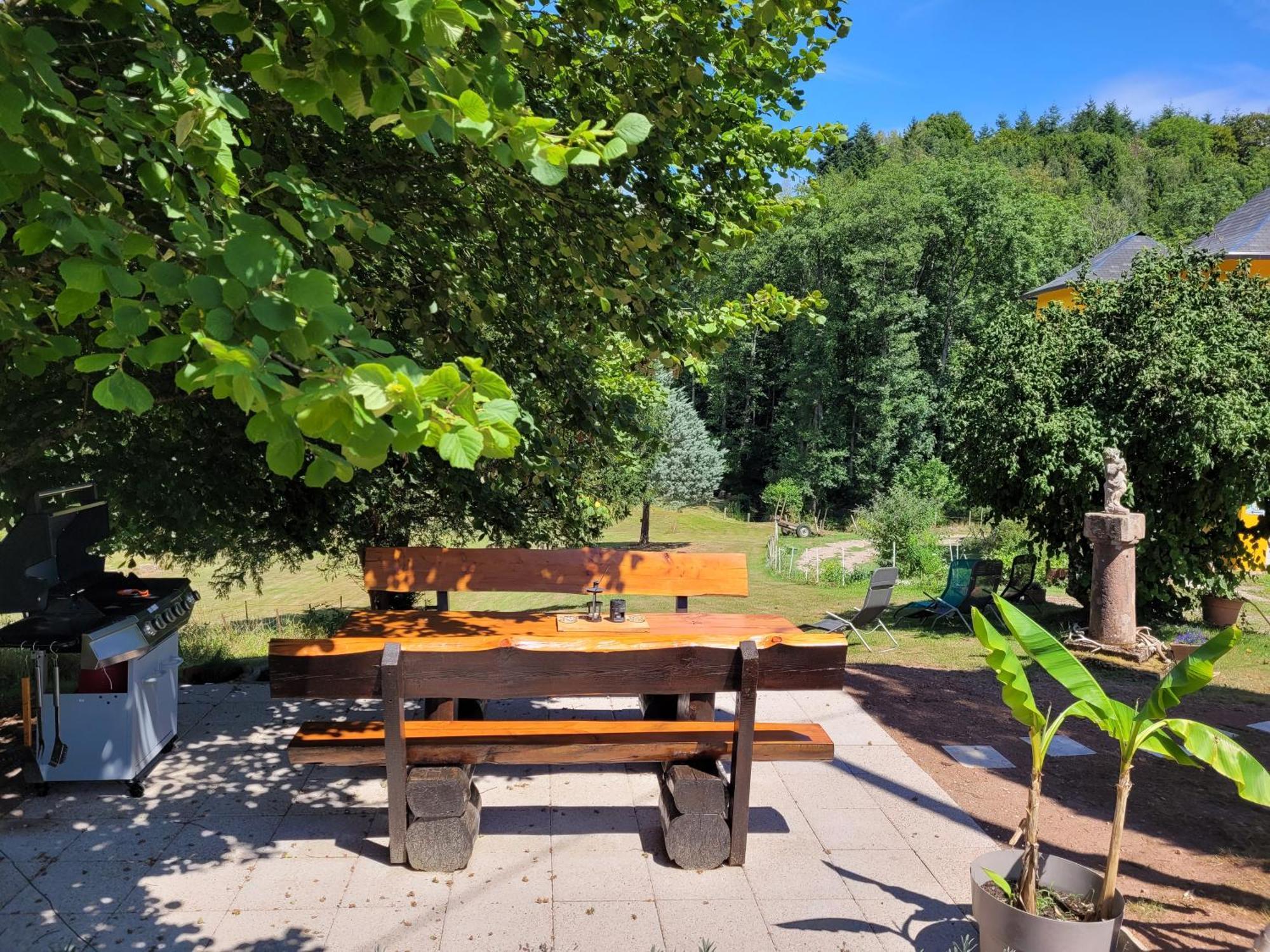 Gite Forestier Du Moulin Raon-sur-Plaine Exterior photo
