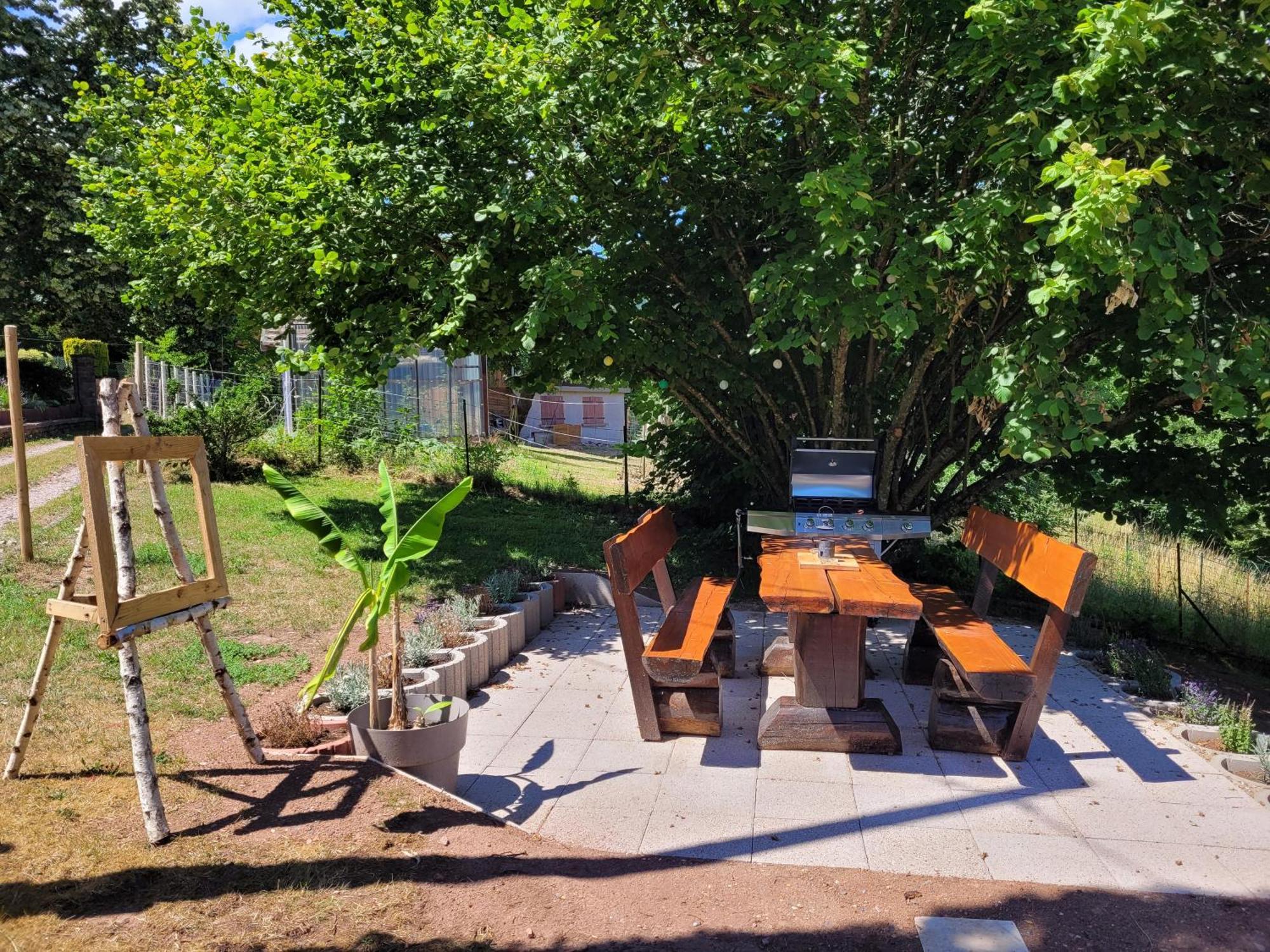 Gite Forestier Du Moulin Raon-sur-Plaine Exterior photo