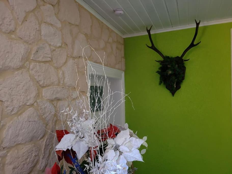 Gite Forestier Du Moulin Raon-sur-Plaine Exterior photo