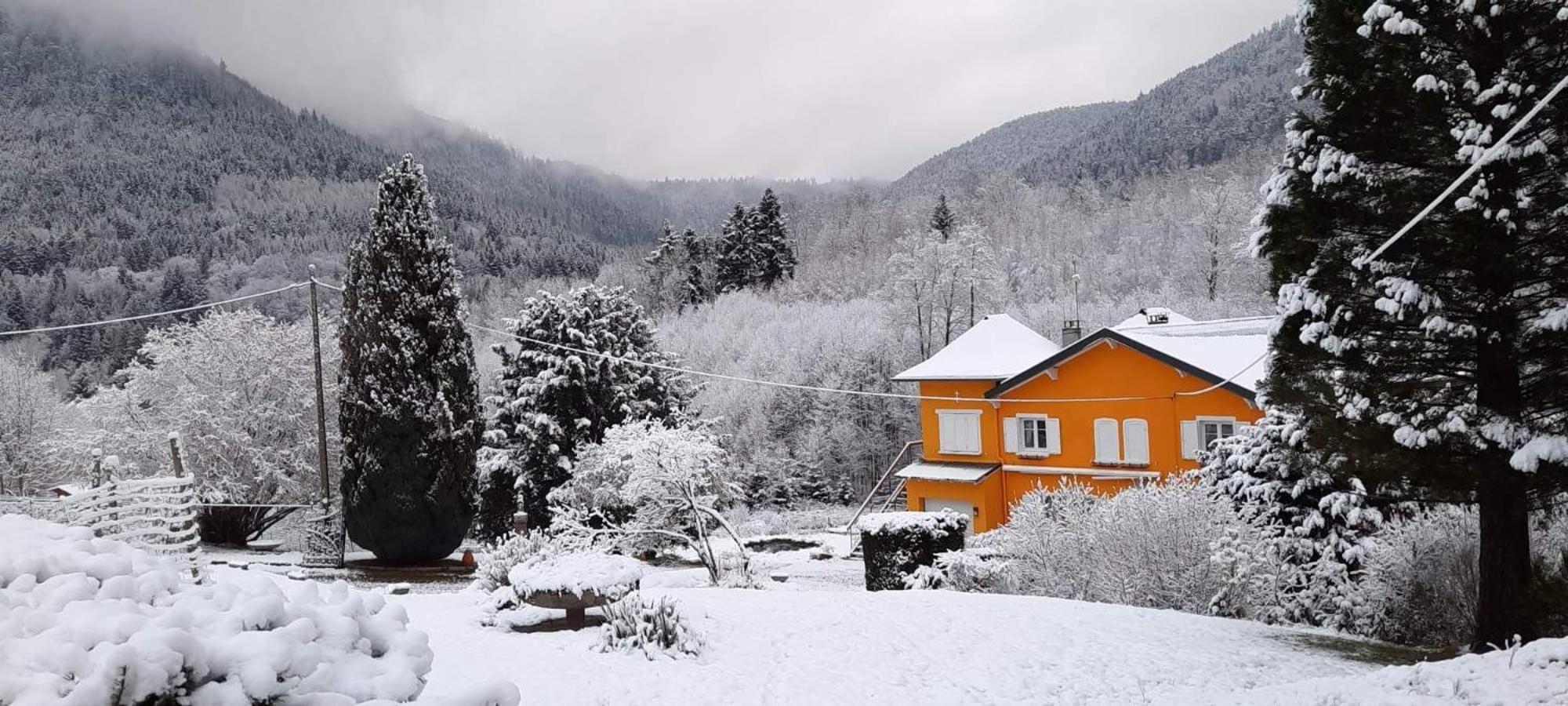 Gite Forestier Du Moulin Raon-sur-Plaine Exterior photo